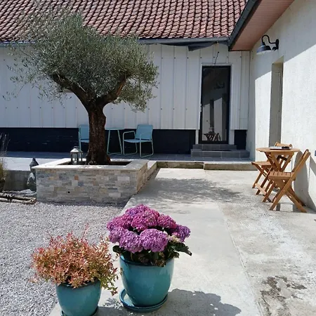 Bed & Breakfast Les Oliviers Cheriennes