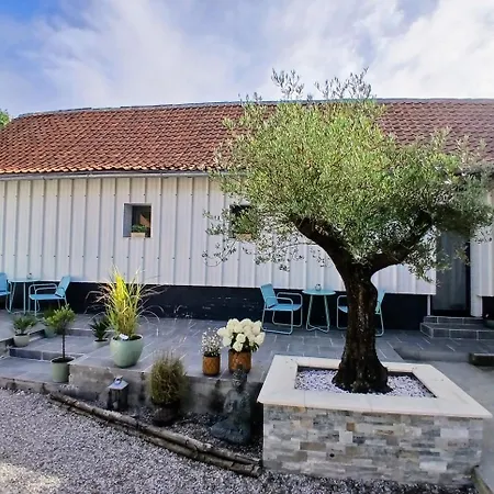 Les Oliviers Bed & Breakfast