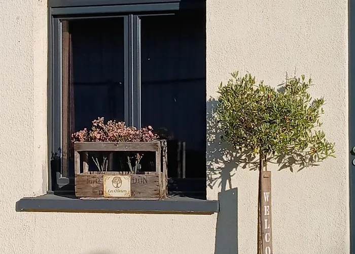 Les Oliviers 3* Chériennes